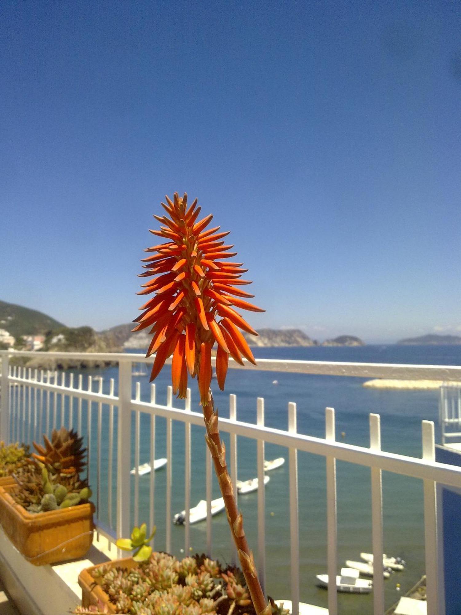 Hotel La Baia Ponza Exterior photo